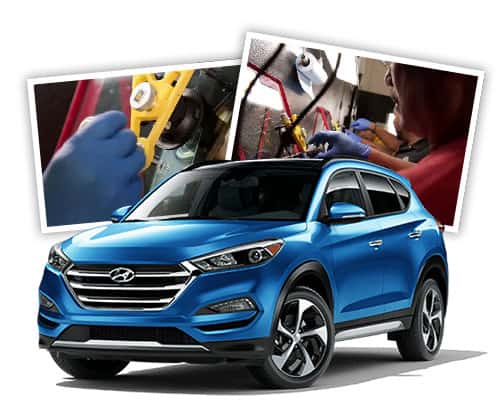 Windshield Repair Course